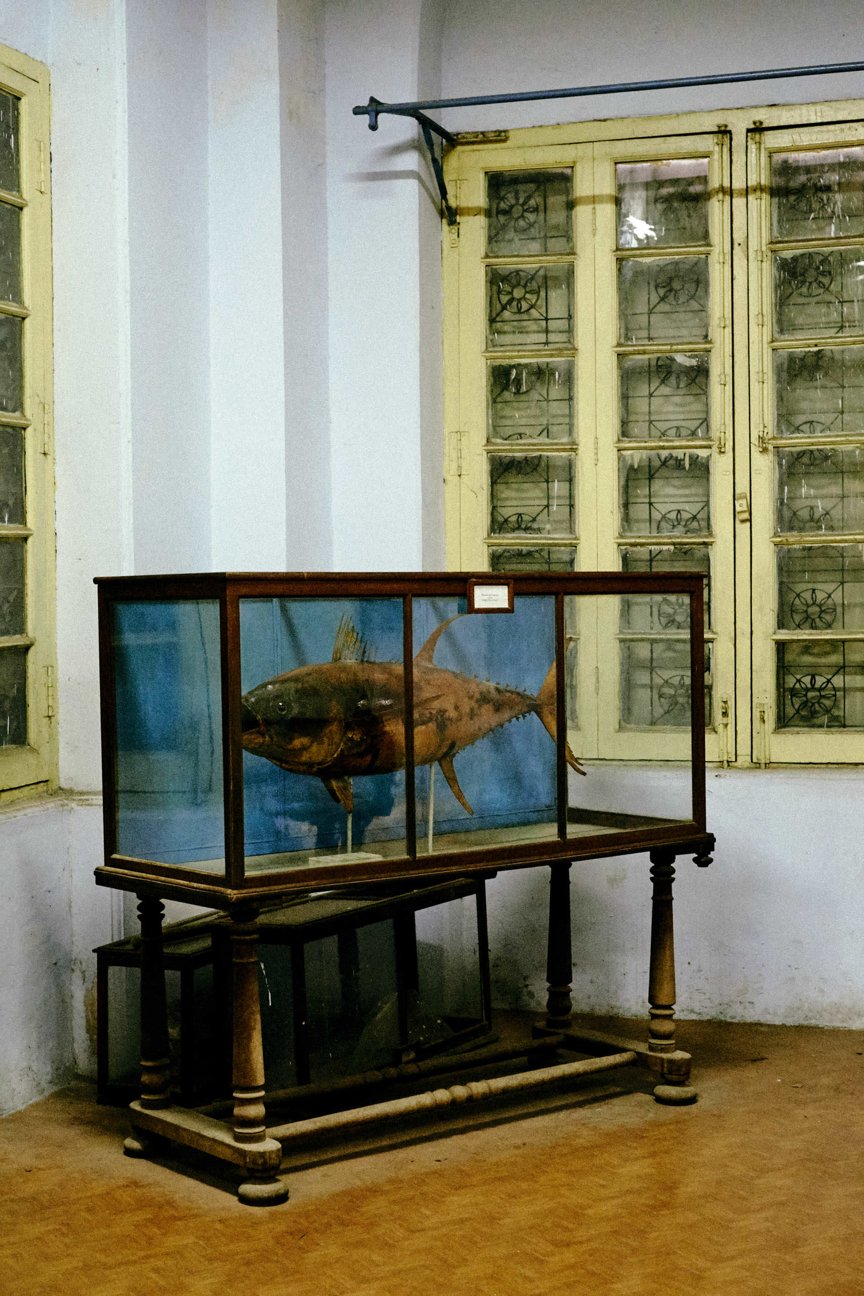 Government Art Museum Chennai